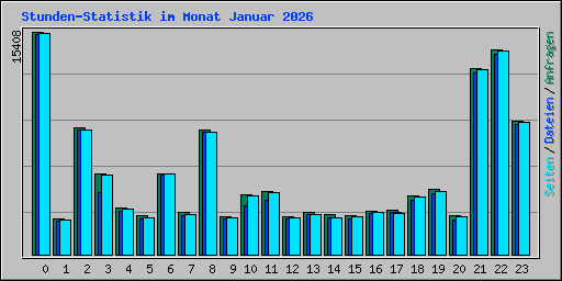 Stunden-Statistik im Monat Januar 2026