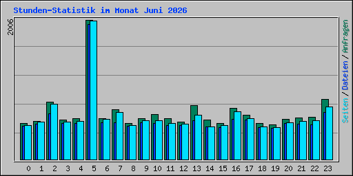 Stunden-Statistik im Monat Juni 2026